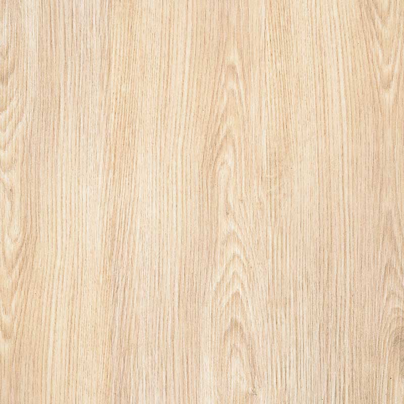 6279fdea70bdd02b94d27c99 Beech