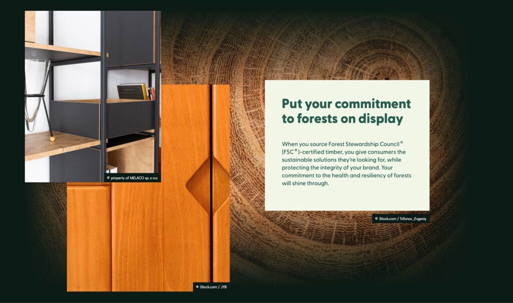 Planet Conscious Craftsmanship: Building a Greener Future 7 image 24