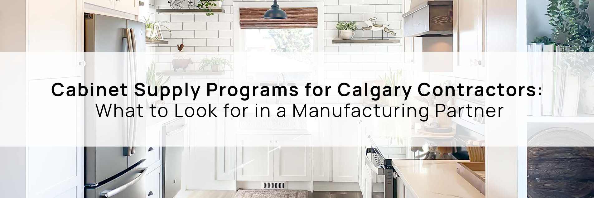 Modern kitchen cabinets from a cabinet supplier for contractors in Calgary.